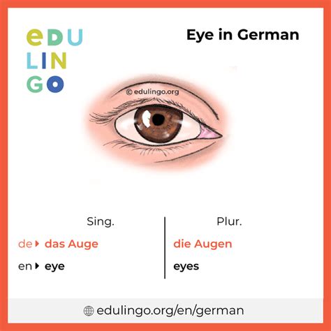 pink eyes deutsch|pink eyes in german.